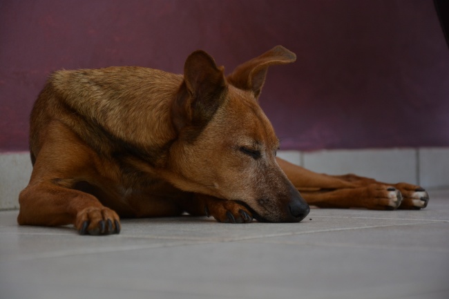 射手男遇到天蝎女 为什么叫绝杀