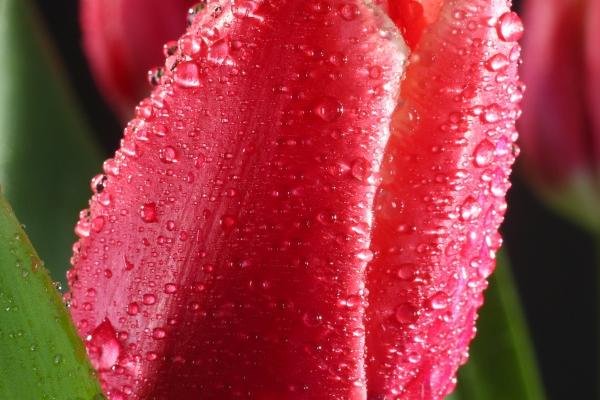 2024最牛的星座 摩羯龙年牛气冲天