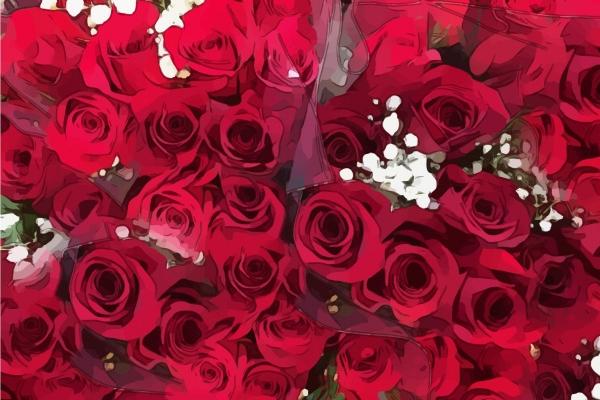 1993年属鸡的吉利数字和颜色 数字九通长久