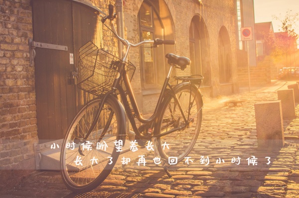 属虎遇到属蛇的怎么办 虎蛇相害如何化解