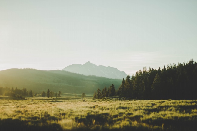 2024有暴富运的星座 金牛24年财富滚滚而来