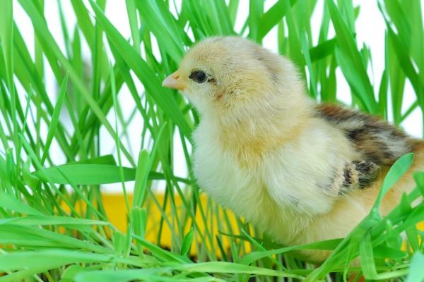 摩羯女和射手男配不配 射手要注意换位思考