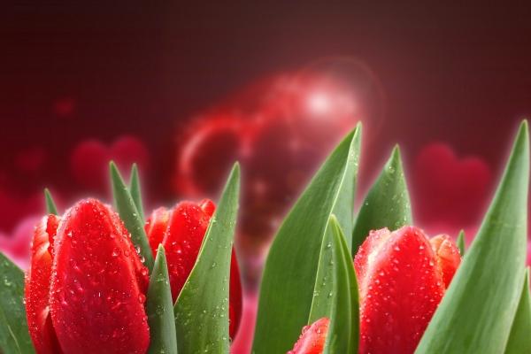 天蝎座10月份运势2023年 10月天蝎座运势详解