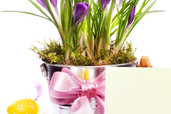 射手座vs水瓶座谁厉害 射手男碰到水瓶女就完了