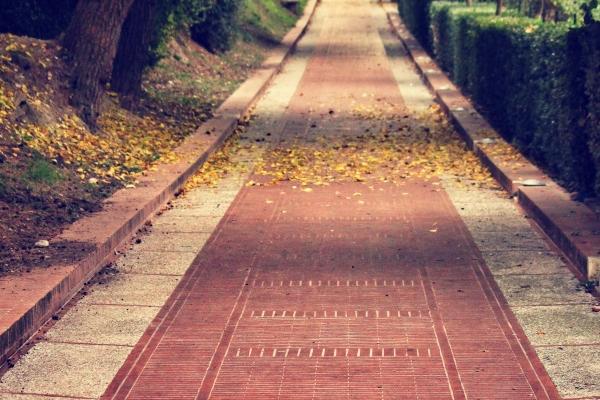 2024年婚内出轨的星座 什么星座会出轨