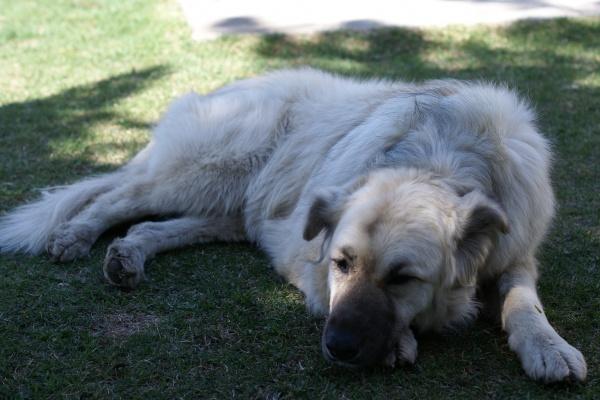 2024年白羊座将有大事发生，会有什么大事