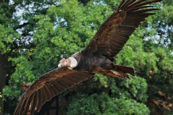 2023摩羯座下半年大转变，摩羯座下半年运势如何最新分析