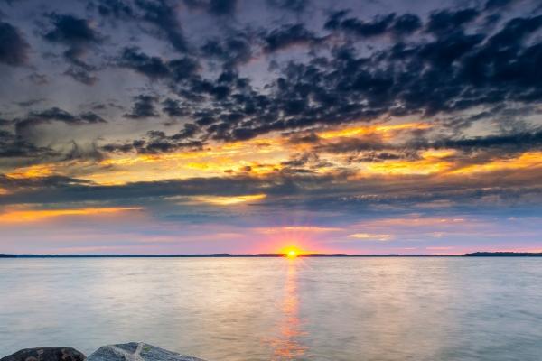 1990年属马人2024年运势及运程女，90年34岁生肖马2024年全年运势详解