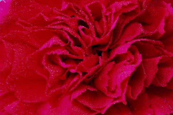 最难追的星座男 公认最难追的星座男