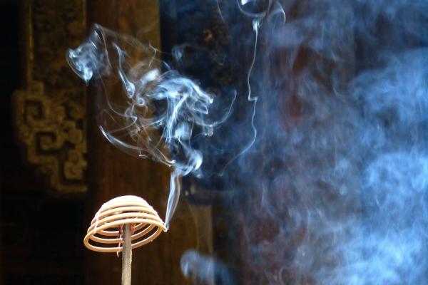 1988男龙和1988女龙婚配 88年属龙人婚姻运