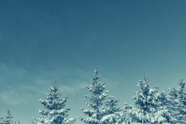 2023年双子女下半年财运如何，如何提升财运