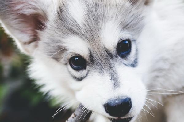 最会保养的生肖女 注重保养身体