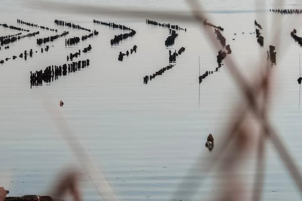 梦见拉了一地屎是凶兆还是吉兆