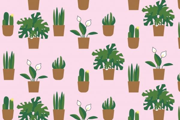 1988年出生2024年运势 浅说运势分析详情