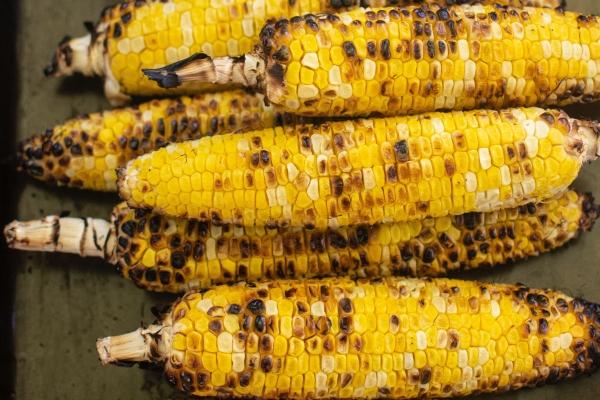 2024年的生肖运势大全 十二生肖运势详情