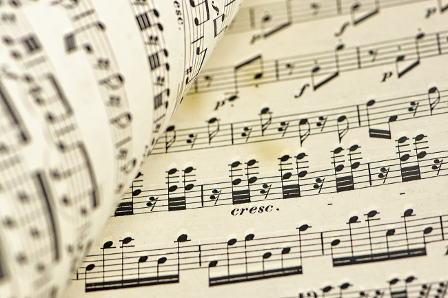 2024年是哪个生肖的本命年 了解本命年的概念