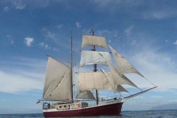 2024年属猴大爆发，属猴2024年运势如何