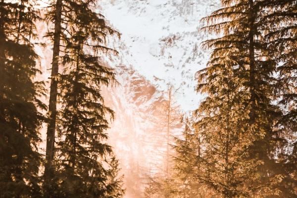 1995年属猪人2024年运势及运程女,95年29岁生肖猪2024年全年运势详解