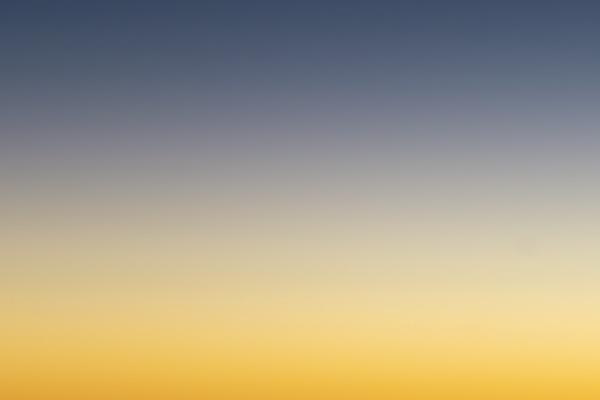 属马2024年会有正缘吗 24年会遇到正缘的生肖