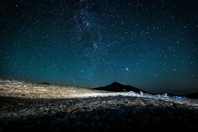 2024狗生肖的情感 属狗人适合和谁结婚