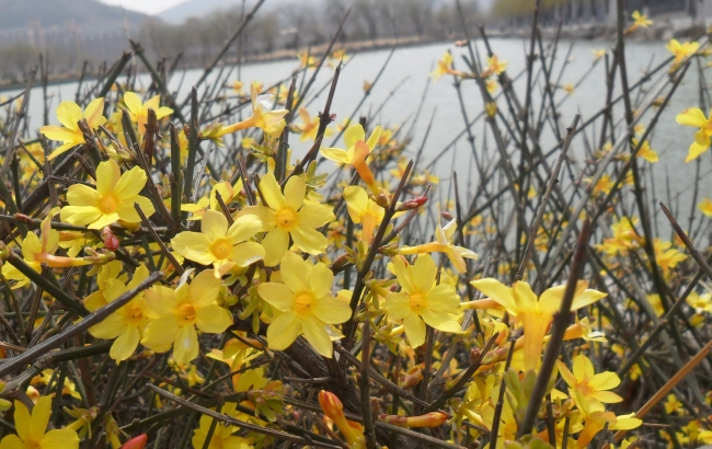 24岁本命年的大忌 24岁本命年应该注意什么