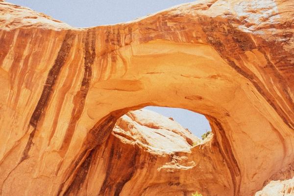 第一运程 2023年12月23日十二生肖运势解析