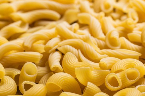 2024年1月1日元旦特吉生肖运势 每日生肖运势播报