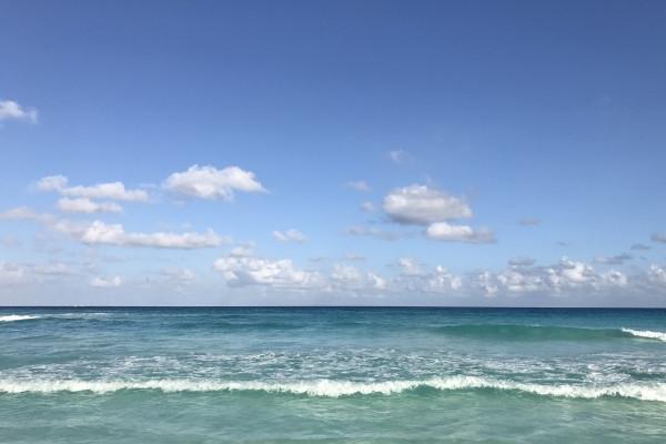 2024年属兔财运与感情 生肖兔难以积累钱财