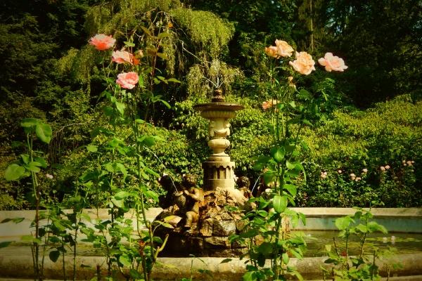 2024后暴富的生肖 在龙年聚财的属相有谁