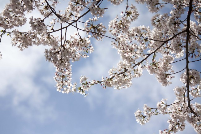 1980年属猴的一生运势 事业起伏大器晚成