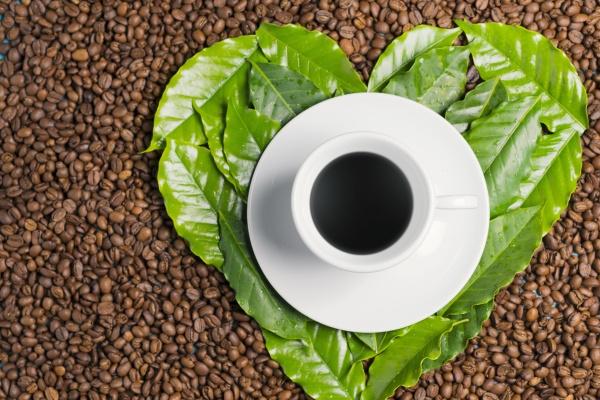 属蛇的和属马的配不配 在一起怎么样？