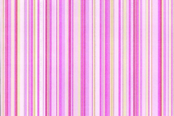 2024年学业有成的星座 学习努力聪明勤奋