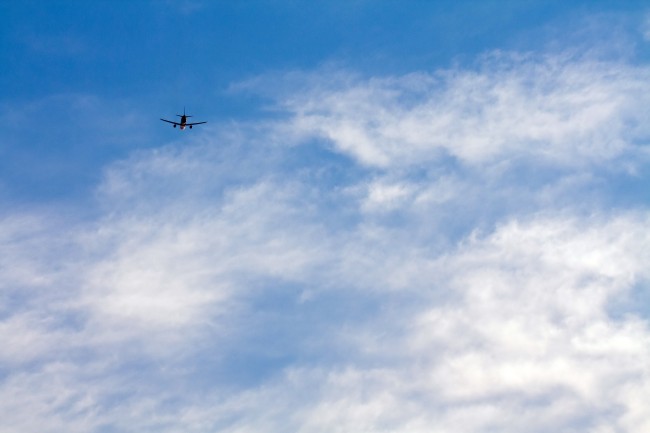 2024年是寡妇年吗 寡妇年可以结婚吗