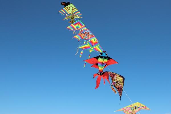 属鸡2024年有哪三喜 属鸡人有何性格特征