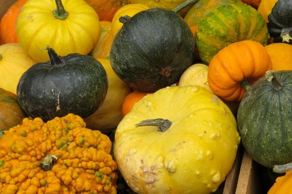 每日冲煞属相 2024年2月11日属什么生肖冲什么