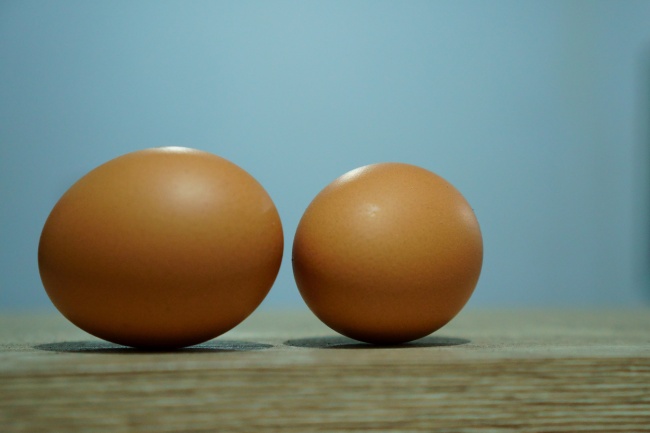 2024年生肖龙运势运程 爱情平稳财运稳定增长