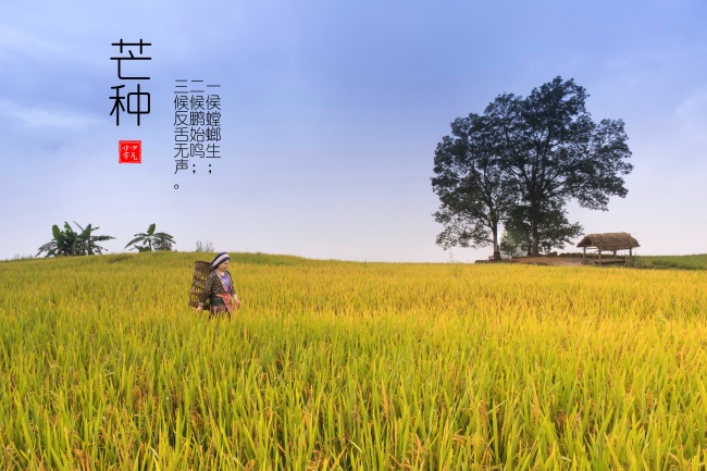 今日生肖冲煞 2024年1月31日生肖冲什么属什么