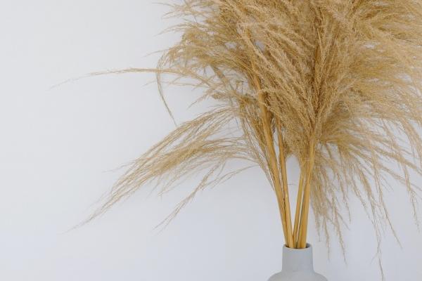 特吉生肖：2024年2月19日雨水生肖运势吉凶查询