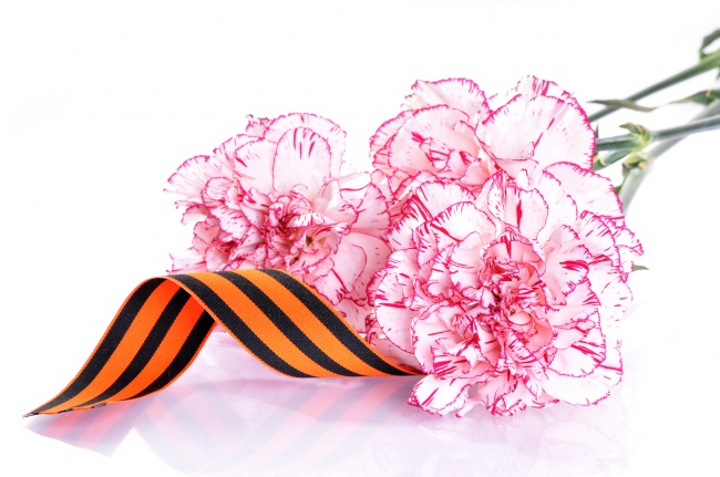 属羊在2024年运势怎么样 事业会有贵人相助