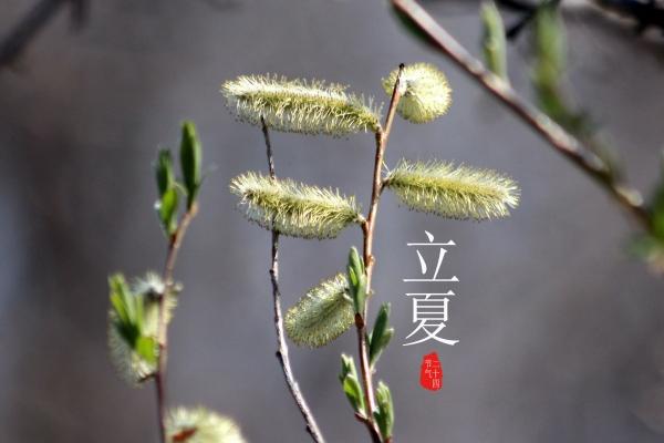梦到驱赶老鼠是啥预兆