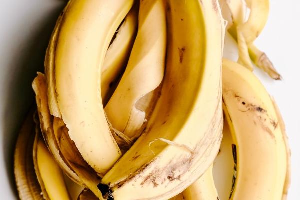 属牛人2024年全年运势运程 感情稳定身体更健康