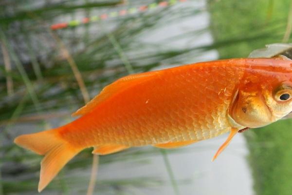 天蝎座必须远离的星座 会和天蝎发生矛盾