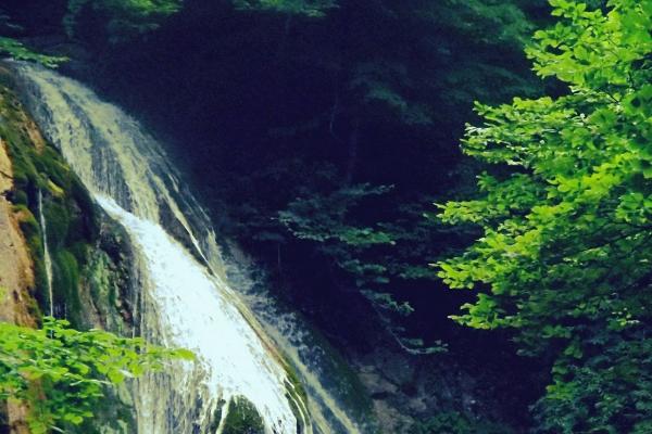 2024遇到正缘的星座有哪些 哪些星座2024遇到正缘