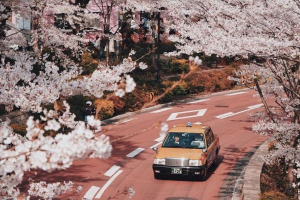 2024年小龙女出生在哪个月好 2024年属龙女忌几月出生