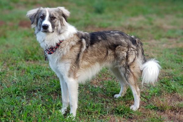 2024年桃花运差的星座 会有烂桃花的星座