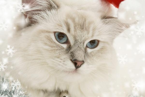 天蝎座的贵人星座 帮助天蝎走出困境