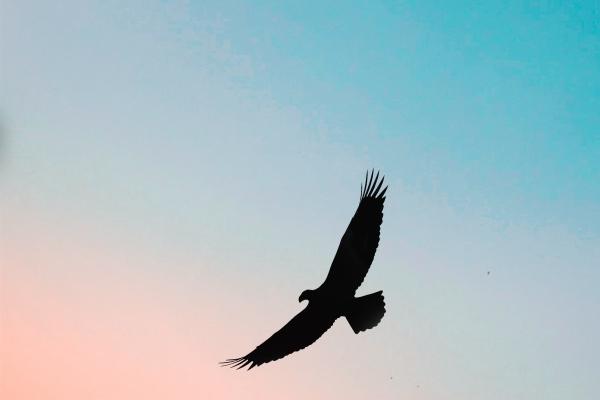 12生肖2024年大年初四打麻将方位查询坐哪里赢翻