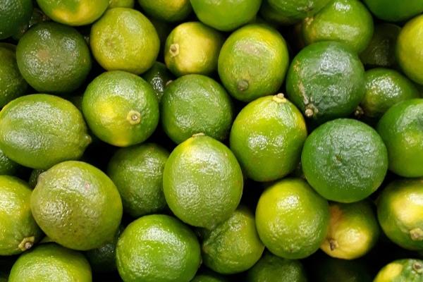 2024年犯太岁闰月能结婚吗 闰月结婚的讲究