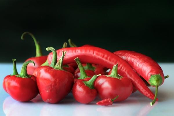 2024年犯太岁生肖大全 揭秘五大生肖的运势