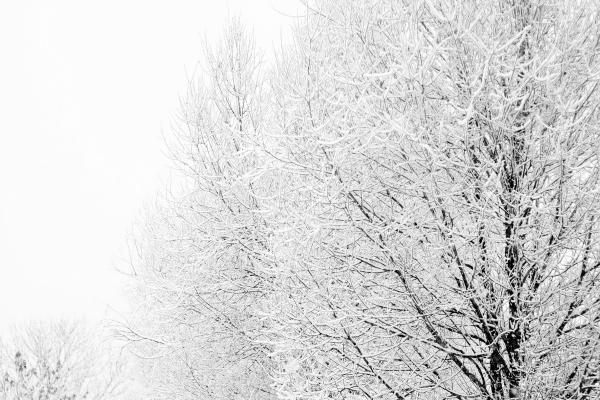 属兔女和属鼠男的婚配 属兔女和属鼠男合适吗